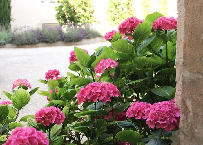 Διαμέρισμα Hypercentre - Particulier - Philippe Le Hardi